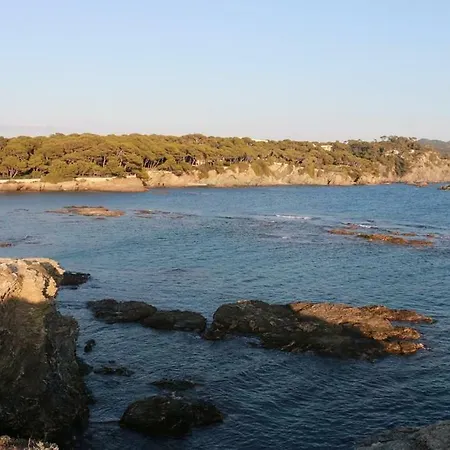 33 Avenue Joseph Roumanille Daire *