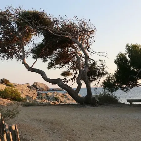 33 Avenue Joseph Roumanille *